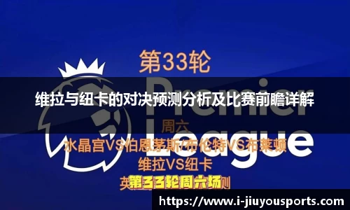 维拉与纽卡的对决预测分析及比赛前瞻详解